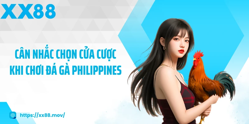Cân nhắc chọn cửa cược khi chơi đá gà Philippines