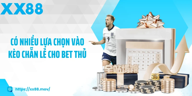 Có nhiều lựa chọn vào kèo chẵn lẻ cho bet thủ