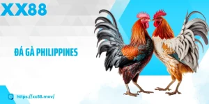 Đá gà philippines
