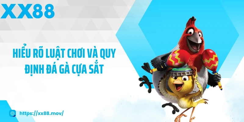 Hiểu rõ luật chơi và quy định đá gà cựa sắt