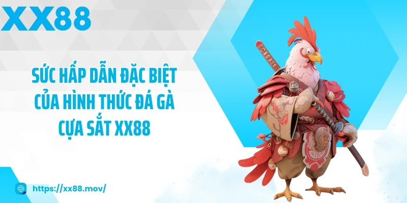Sức hấp dẫn đặc biệt của hình thức đá gà cựa sắt XX88