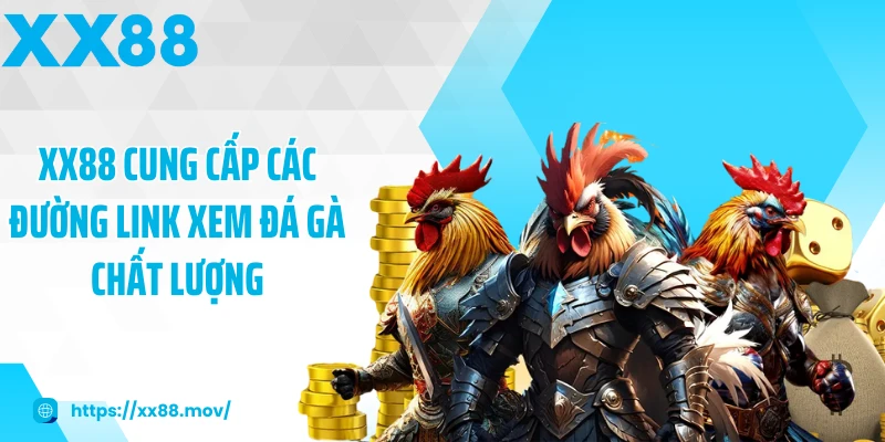 XX88 cung cấp các đường link xem đá gà chất lượng